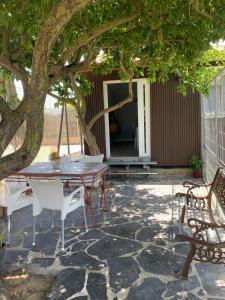d'une terrasse avec une table et des chaises sous un arbre. dans l'établissement Casa ILEANA, à Sanlúcar de Barrameda