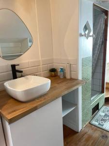 ein Bad mit einem Waschbecken und einem Spiegel in der Unterkunft Calm Loft Gare Sncf Toulouse centre in Toulouse