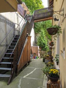 Fotografie z fotogalerie ubytování Waldblickwohnung mit schöner Terrasse und Kamin v destinaci Sebnitz