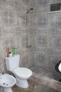 a bathroom with a toilet and a shower at Cacique Catriel "EN PLANTA BAJA" in Catriel