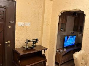 TV a/nebo společenská místnost v ubytování A historical apartment