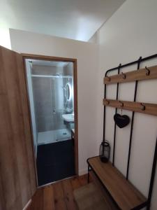 a bathroom with a shower and a sink and a mirror at Maison d'hôtes Larraldia in Uhart-Cize