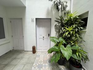 un couloir avec des plantes en pot devant une porte dans l'établissement Eclectic 2BR with shared terrace perfect getaway, à Gibraltar