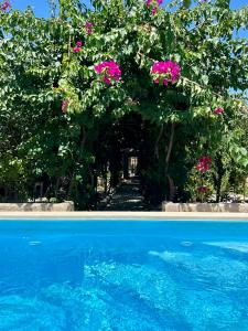The swimming pool at or close to B&B Don Alessandro