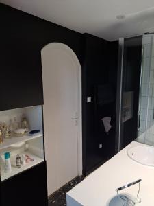 La salle de bains est pourvue de murs noirs, d'un lavabo et d'un miroir. dans l'établissement vue sur Rhône, à Lyon