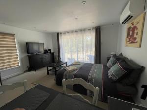 a bedroom with a bed and a television in it at Villa SOANNE in Bagnols-en-Forêt