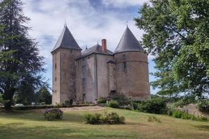 een oud kasteel met twee torens op een grasveld bij "L'Annexe" in Dournazac