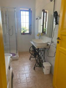 a bathroom with a sink and a shower at Casa laggiù in Gradoli