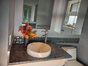 a bathroom with a sink and a vase of flowers on a counter at Master room &full bathroom with separate entrance in richmond in Richmond