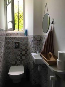 a bathroom with a toilet and a sink and a mirror at Appartement en rez de jardin in Ciboure