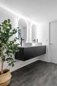 a bathroom with a sink and a potted plant at Beautiful and cosy flat La Latina-Rastro-IZQ in Madrid