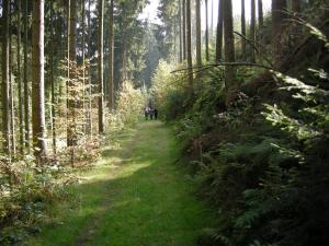 Paesaggio naturale nelle vicinanze dell'affittacamere