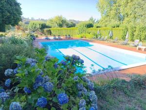 a swimming pool with blue flowers in a garden at Casa Grande de Fuentemayor in Silleda