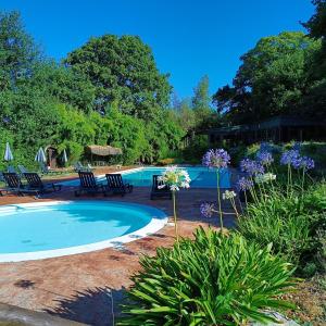 een zwembad in een tuin met stoelen en bloemen bij Casa Grande de Fuentemayor in Silleda