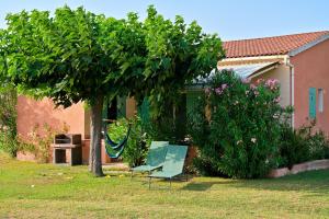zwei Stühle und ein Baum im Hof in der Unterkunft Pinea Mare in Poggio-Mezzana