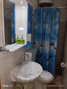 La salle de bains est pourvue d'un lavabo, de toilettes et d'un rideau de douche. dans l'établissement Superb studio in Lixouri, à Lixouri