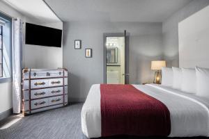Postel nebo postele na pokoji v ubytování Avalon Hotel Downtown St. Petersburg