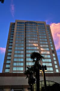 a tall building with a palm tree in front of it at The Westin San Antonio North in San Antonio