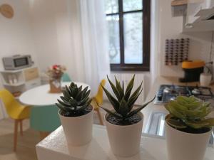 trois plantes en pot assises sur un comptoir dans une cuisine dans l'établissement Da Rosa e Pier - Charming central apartment, à Milan
