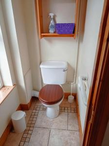 a small bathroom with a toilet with a wooden seat at Carnlough Cottage in Carnlough