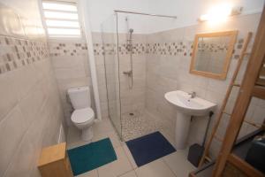 W łazience znajduje się toaleta, umywalka i prysznic. w obiekcie La Kalenda - Studio climatisé w mieście Saint-Pierre