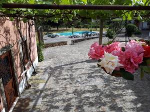 a bunch of flowers in a hanging basket next to a pool at Quintinha de Santiago in Oliveira de Azemeis