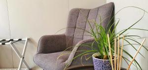 a gray chair with a potted plant next to it at Bed & Bike Feltre in Feltre