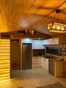 a kitchen with stainless steel appliances and a wooden ceiling at Cebel Tiny House&Bungalovs in Kemer
