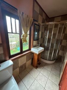uma casa de banho com um WC, um chuveiro e um lavatório. em Hostal Florencia em Puerto Varas