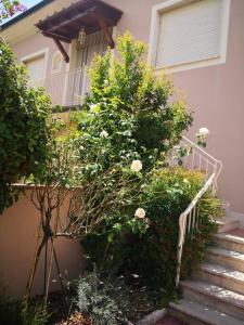 een trap naar een huis met bloemen bij Villa Debora in Lucca