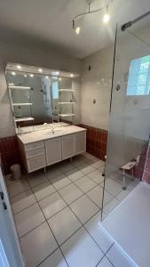 a bathroom with a shower and a sink and a mirror at Chez Delphine in Damery +12 photos