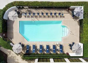 an overhead view of a pool with chairs and umbrellas at Hampton Inn Dallas Irving Las Colinas in Irving