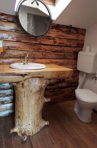 Koupelna v ubytování Country Chalet