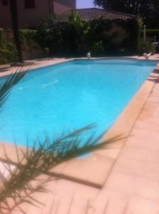 une piscine bleue avec un palmier au premier plan dans l'établissement Hotel - Restaurant de la Paix, à Barbotan-les-Thermes