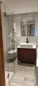 een badkamer met een wastafel en een toilet bij Gemütliche Wohnung OB12-EG- Wildpark Mainz in Mainz