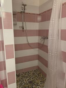 y baño con ducha y cortina de ducha. en Dall’Artemio - appartamento a Sillico, en Sillico