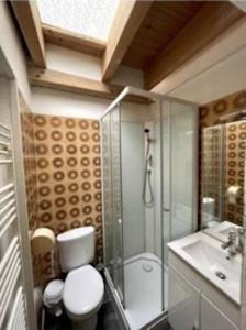 ein Bad mit einem WC, einer Dusche und einem Waschbecken in der Unterkunft maison de tourisme aux sables d'olonne in Les Sables-dʼOlonne