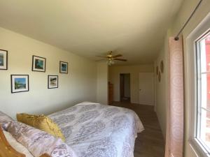 a bedroom with a bed and a ceiling fan at Coral Cottage of Prospect in Kingstown