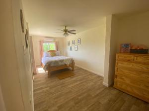 um quarto com uma cama e uma ventoinha de tecto em Coral Cottage of Prospect em Kingstown