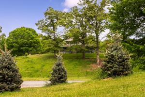 a house on a hill with three christmas trees at The Inn At Amaris Farms in Weaverville