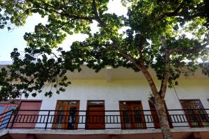 a building with a tree in front of it at Green Mart Family Rest in Anuradhapura