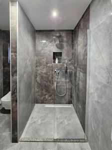 uma casa de banho com um chuveiro e um WC. em Luxury Apartment Lorena - Private Heated Pool - em Jesenice