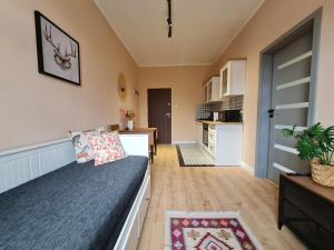 una camera con letto e cucina di Perfect Stay - "Apartament Zamkowy" FREE PARKING a Toruń