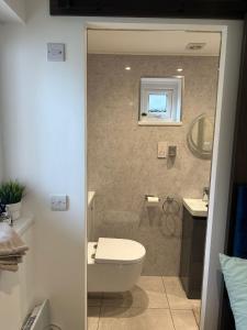 a bathroom with a shower and a toilet and a sink at Nice and Cosy Studio in Bristol