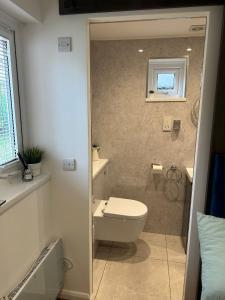 ein Bad mit einem WC und einem Fenster in der Unterkunft Nice and Cosy Studio in Bristol