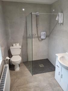 a bathroom with a shower and a toilet and a sink at Mountain Stream House 