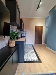 Kuchyňa alebo kuchynka v ubytovaní Perfect Stay - "Apartament Zamkowy" - parking place
