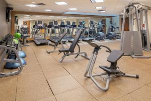 a gym with rows of exercise bikes and treadmills at Hilton Bellevue in Bellevue