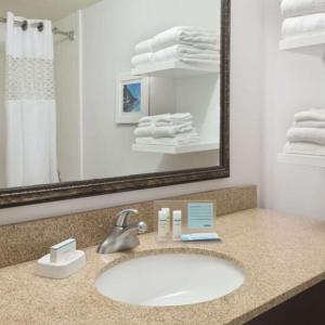 ein Badezimmer mit einem Waschbecken, einem Spiegel und Handtüchern in der Unterkunft Hampton Inn Atlanta Perimeter Center in Atlanta