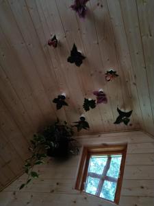 a room with a ceiling with butterflies on the ceiling at les Refuges du Chalet in Sart-lez-Spa